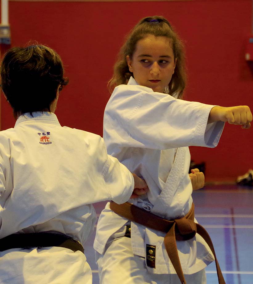 Karaté Shotokan